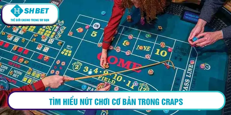 Tìm hiểu nút chơi cơ bản trong craps